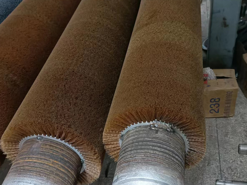 前道刷洗箱毛刷輥